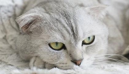 Kaiyun官方登录入口-比尔末节发力奇才险胜快船，比尔什么水平