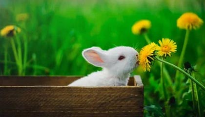 Kaiyun官方登录入口-保利斯塔赛季开局表现稳健，圣保罗保利斯塔大道