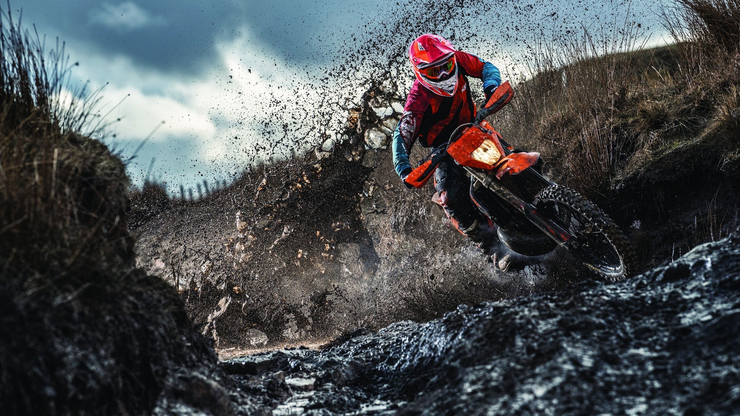 开云体育登录网站入口-“明星私生活：场外趣味爱好全揭秘”，明星私下日常生活